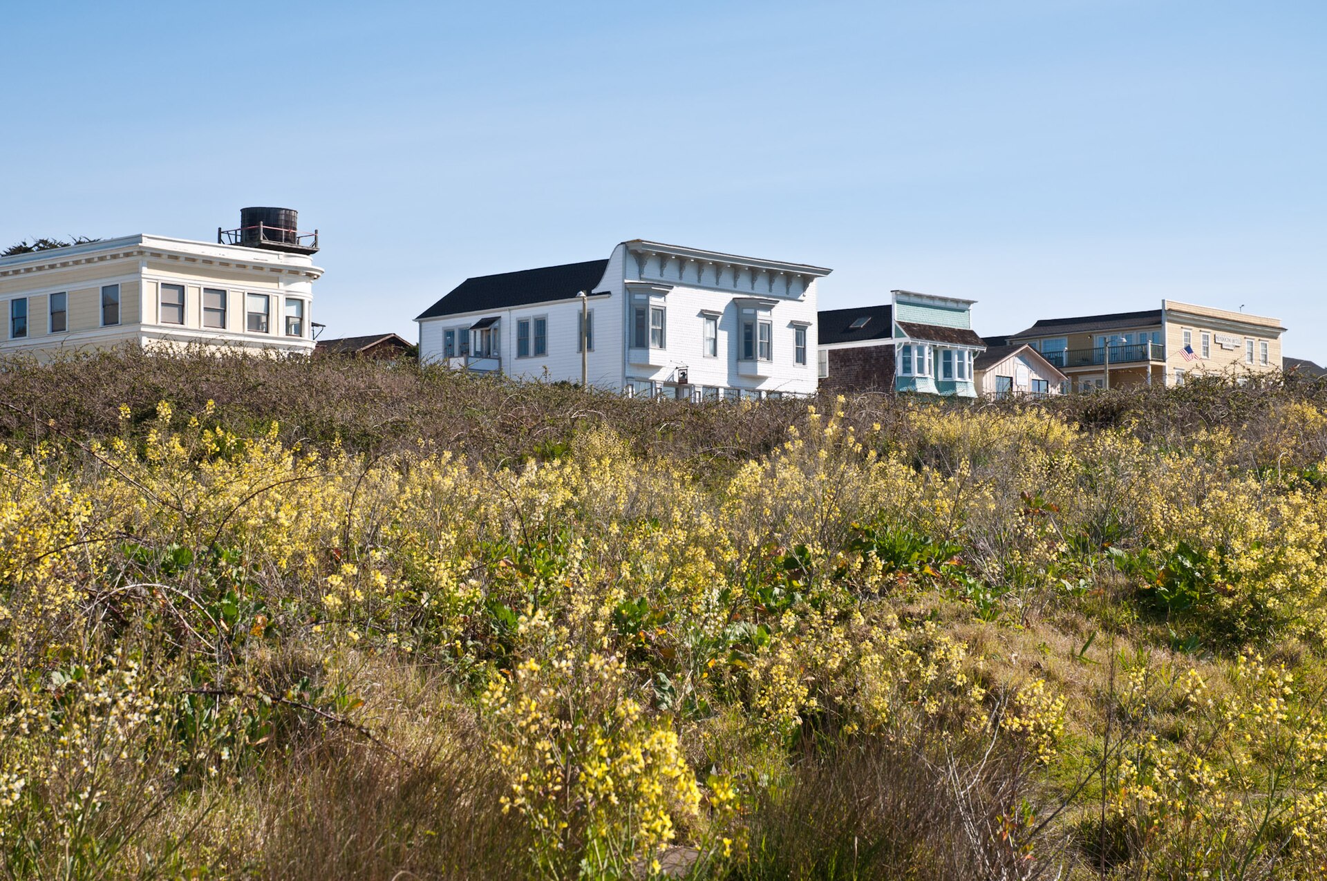 Mendocino Headlands State Park cliffs and coves at low tide, rugged coastline