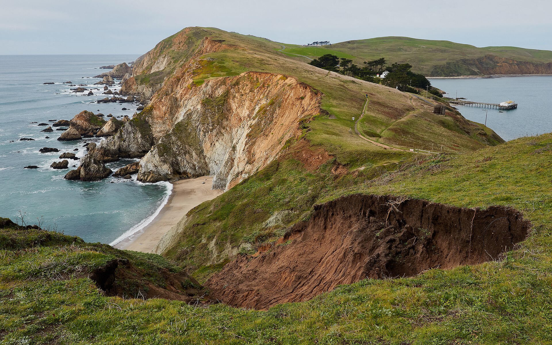 Ocean coastline seen from Chimney Rock, Point Reyes National Seashore, with blue Pacific water meeting steep bluffs